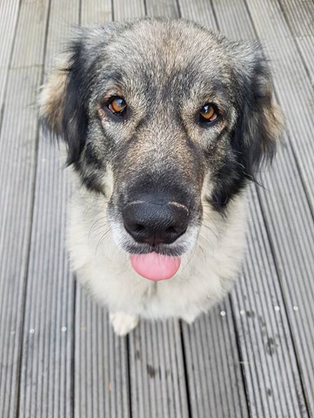 20476608_1247373408719319_8829634464558179276_n