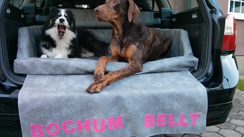 10624619_581548441968489_1139478041288058026_n